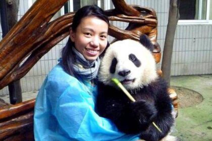 Ecco perché non si può più stringere il panda gigante