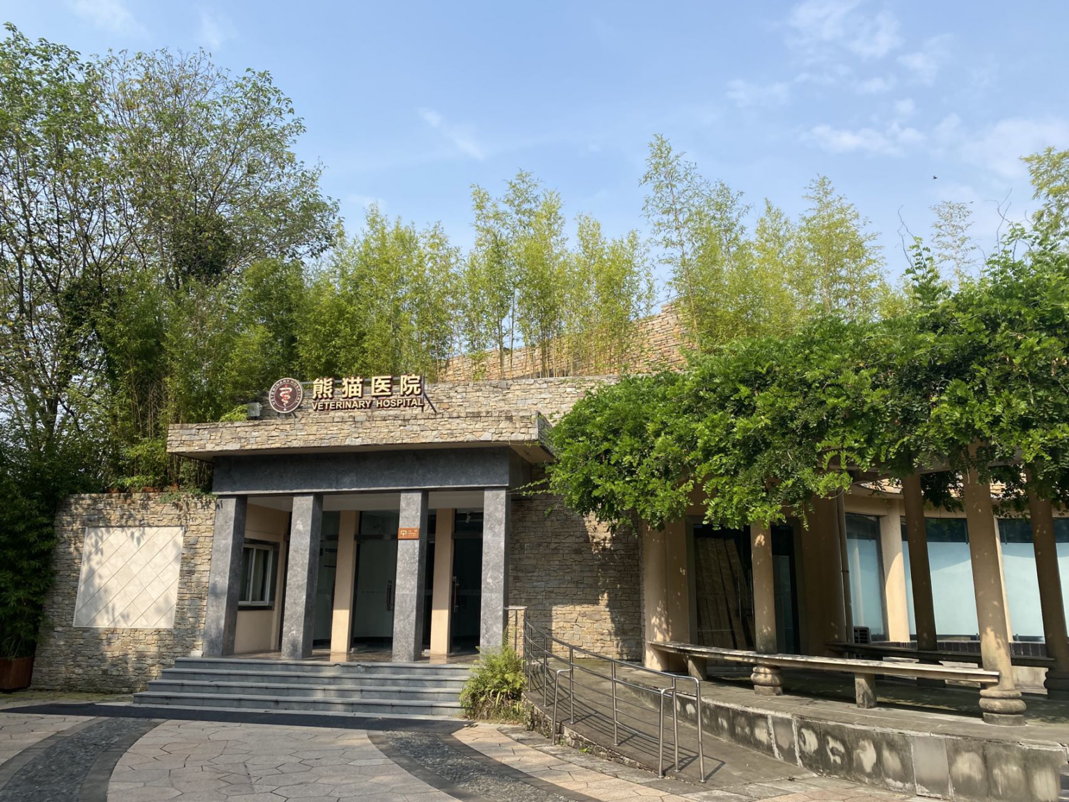 Il presidio medico ospedaliero del panda gigante: ecco come funziona