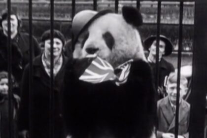 Il ritorno del panda gigante Ming: la fiaba vera che insegna resilienza ai bambini