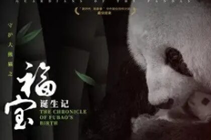 Nuovo progetto su Fu Bao e il ricordo di Lu Lu, simbolo di Ya'an