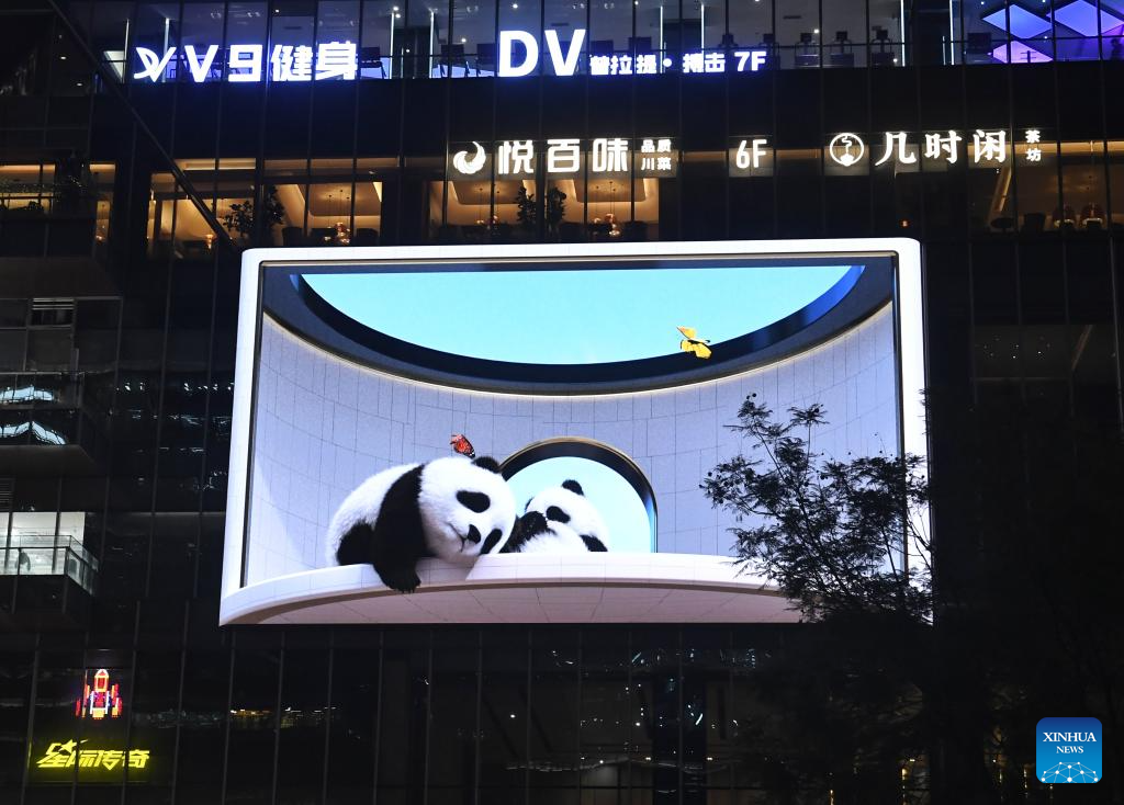 Panda 3D senza occhiali: l’attrazione iconica di Chengdu che affascina turisti e residenti
