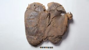 Scheletro di panda gigante nella Tomba di Wen di Han: la sorpresa archeologica