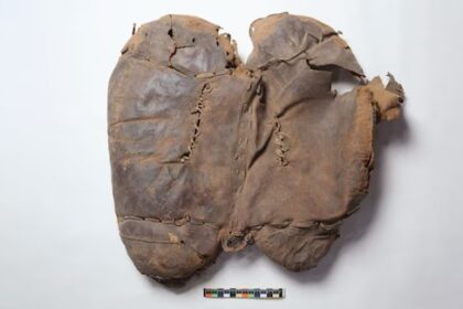 Scheletro di panda gigante nella Tomba di Wen di Han: la sorpresa archeologica