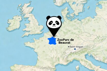 Francia, ZooParc de Beauval: storia, orari, come arrivare e i panda giganti