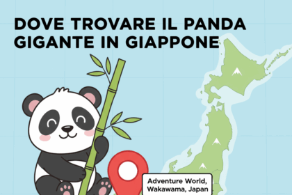 Giappone, Adventure World Wakayama: storia, orari, come raggiungerlo e i panda