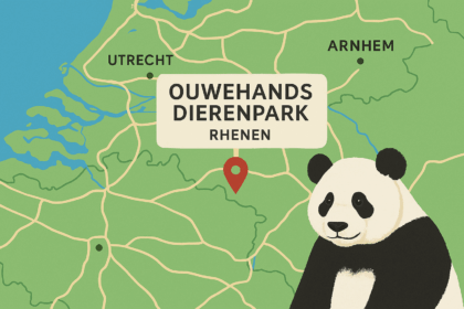 Paesi Bassi, l'Ouwehands Dierenpark Rhenen: storia, orari e panda giganti