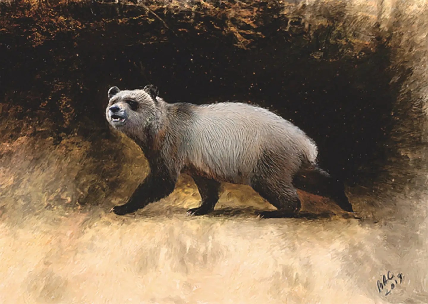 Scoperto in Bulgaria il panda gigante europeo: origini, fossili e cause dell'estinzione