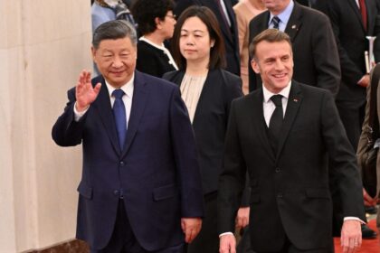 Diplomazia del panda in Francia: nel 2027 arrivano nuovi panda giganti