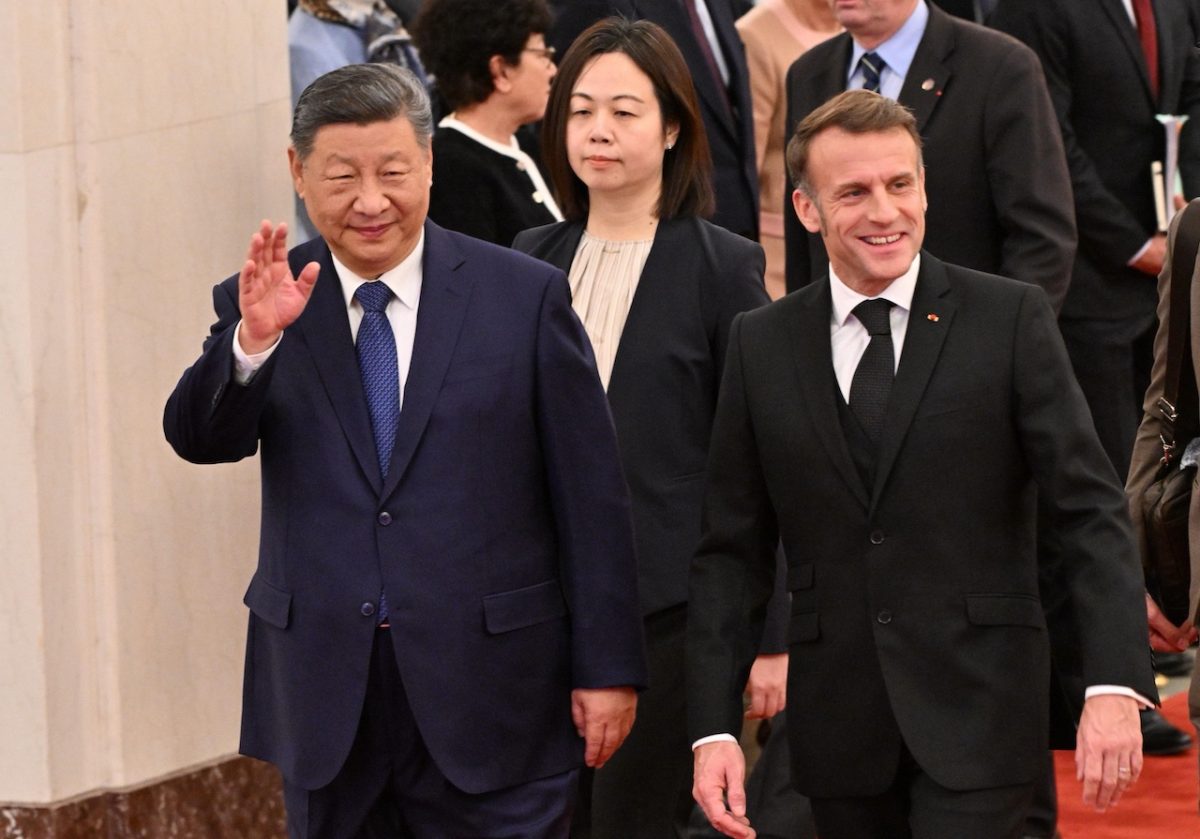 Diplomazia del panda in Francia: nel 2027 arrivano nuovi panda giganti