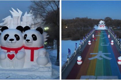 Harbin, la meravigliosa scultura di neve 2025 dedicata ai panda giganti