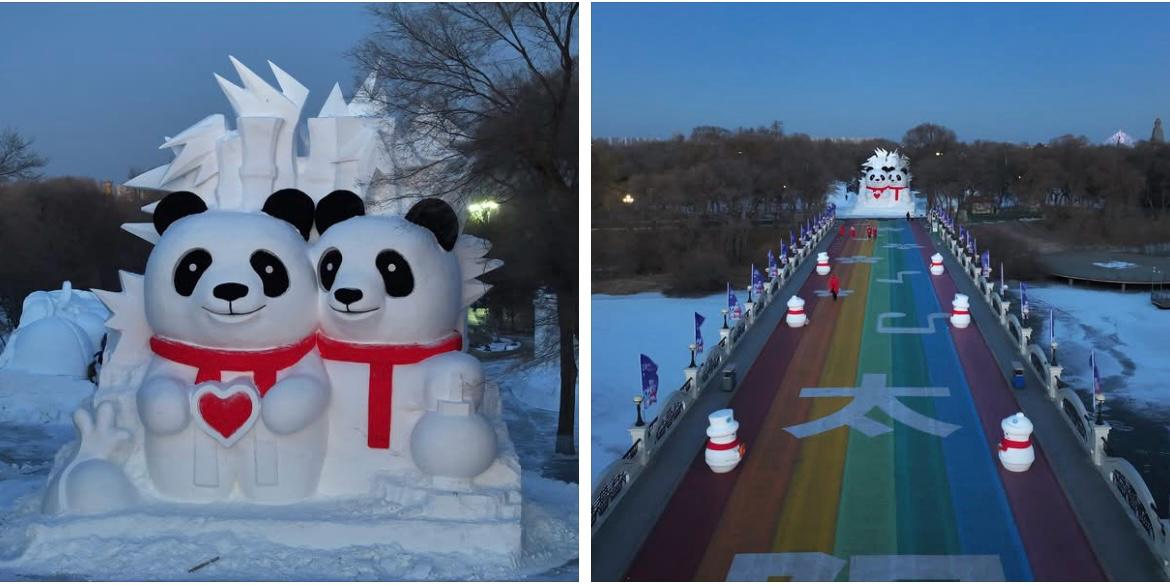 Harbin, la meravigliosa scultura di neve 2025 dedicata ai panda giganti