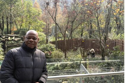 Alla scoperta di Chengdu: viaggio tra i panda giganti e la biodiversità del Sichuan