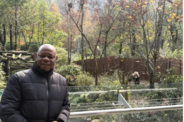 Alla scoperta di Chengdu: viaggio tra i panda giganti e la biodiversità del Sichuan