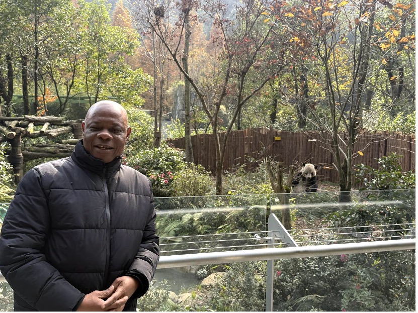 Alla scoperta di Chengdu: viaggio tra i panda giganti e la biodiversità del Sichuan