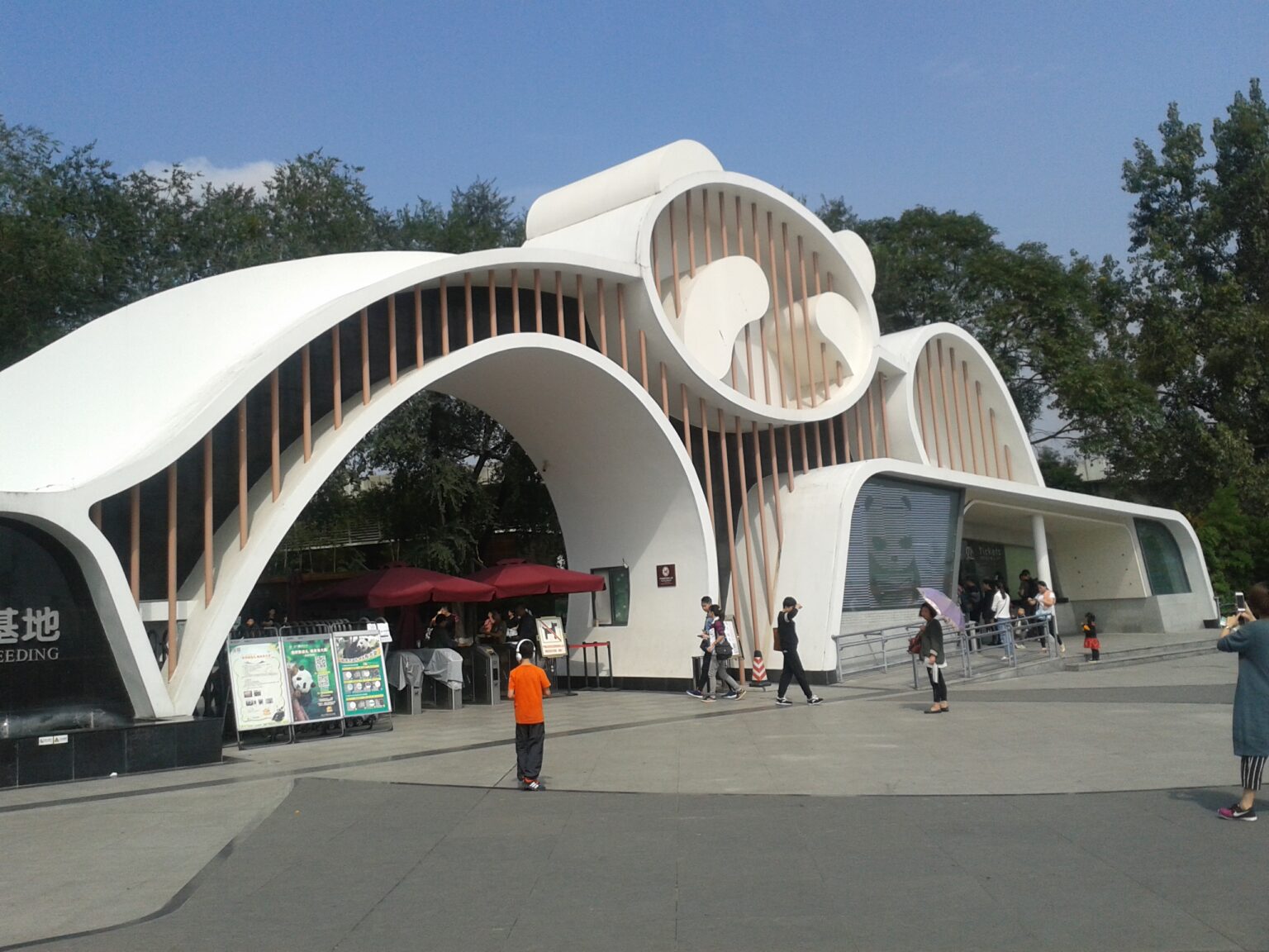 Chengdu-Research-Base-of-Giant-Panda-Breeding-storia-completa-le-info-e-i-panda