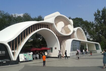 Chengdu-Research-Base-of-Giant-Panda-Breeding-storia-completa-le-info-e-i-panda
