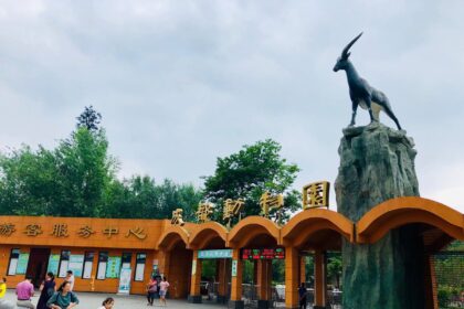 Chengdu Zoo storia, panda giganti, guida completa al giardino zoologico di Chengdu