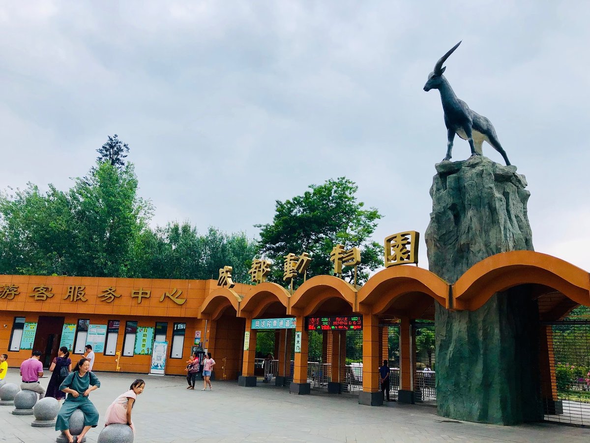Chengdu Zoo storia, panda giganti, guida completa al giardino zoologico di Chengdu