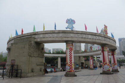 Chongqing Zoo: storia completa, i panda giganti e la guida per i visitatori