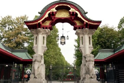 Lo Zoo-Berlin chiuso il 9 Gennaio 2026 per allerta tempesta: priorità alla sicurezza