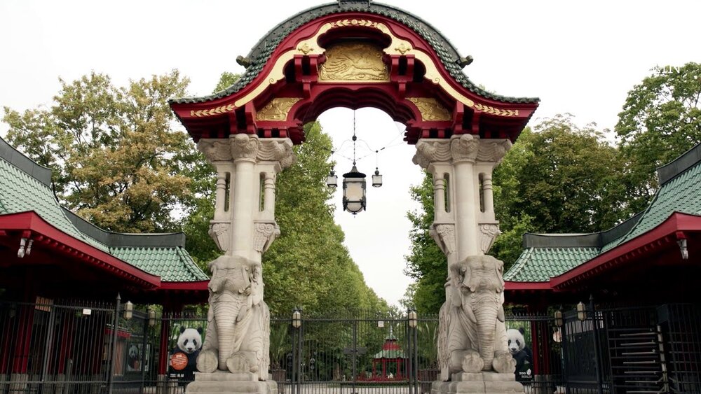 Lo Zoo-Berlin chiuso il 9 Gennaio 2026 per allerta tempesta: priorità alla sicurezza