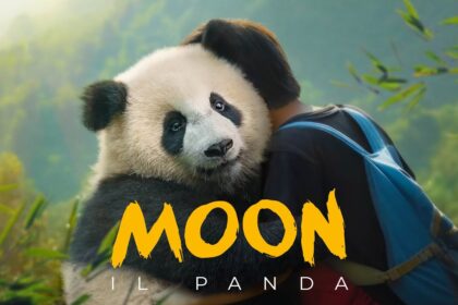 Moon-Il panda, la pellicola: la tenera amicizia tra un ragazzo e un cucciolo