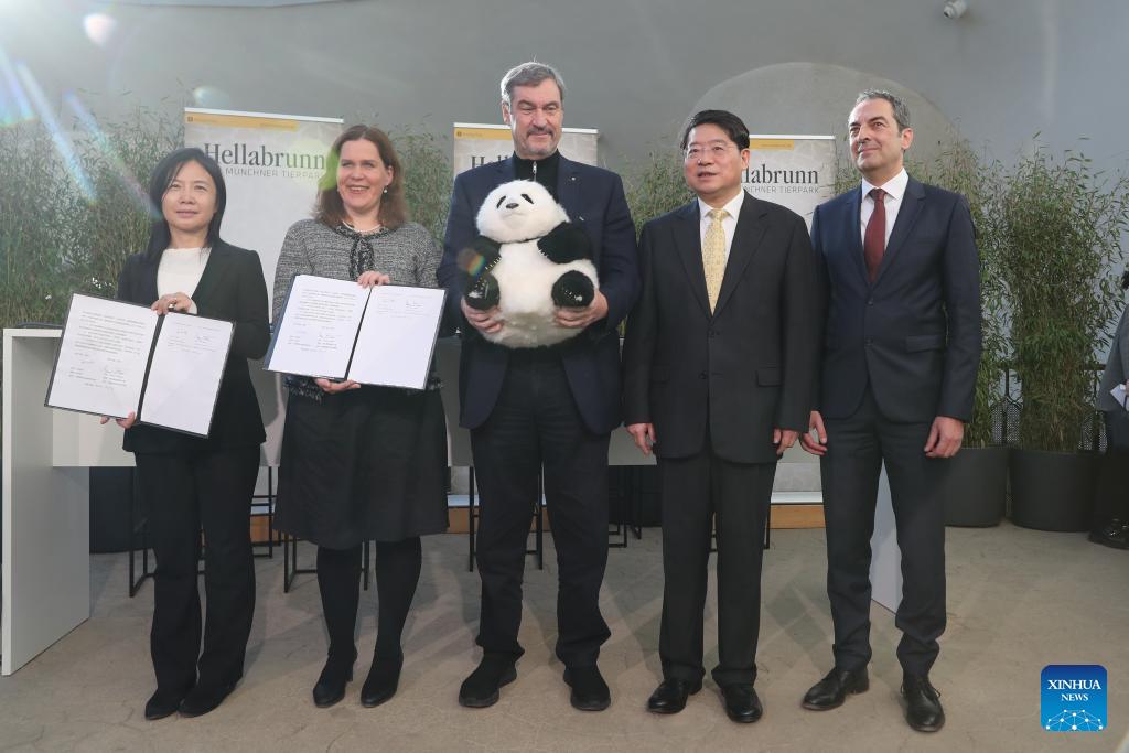 Panda giganti a Monaco di Baviera: accordo Cina–Tierpark Hellabrunn, arrivo entro il 2028