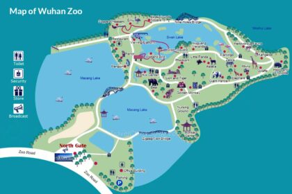Storia dei panda giganti al Wuhan Zoo: da un panda solo a una famiglia