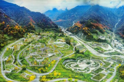 Wolong Hetaoping Panda Center: storia, terremoto del 2008 e rinascita
