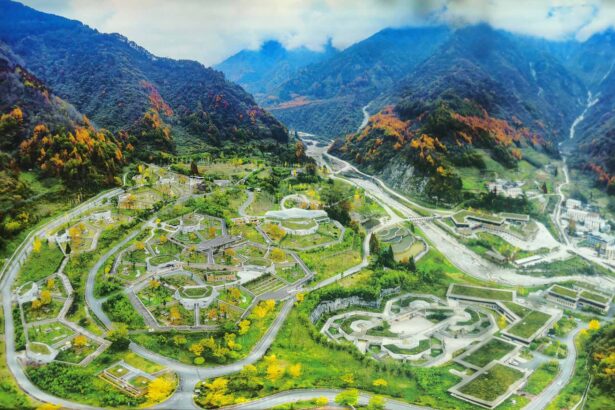 Wolong Hetaoping Panda Center: storia, terremoto del 2008 e rinascita