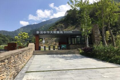 Wolong Nature Reserve (Shenshuping Base): la casa dei panda giganti