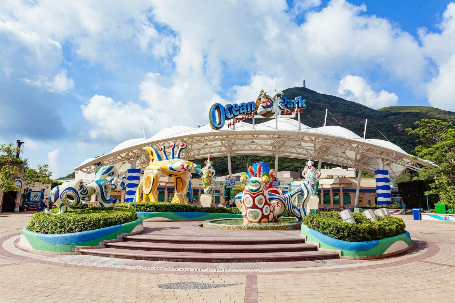 Ocean Park, come stanno Coco e Ke Ke? Gli ultimi aggiornamenti sulla loro salute