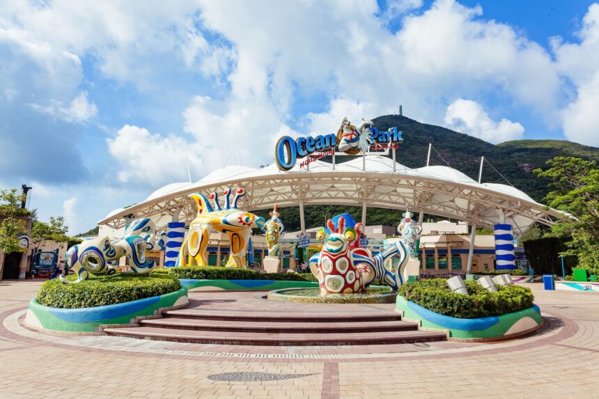 Ocean Park, come stanno Coco e Ke Ke? Gli ultimi aggiornamenti sulla loro salute