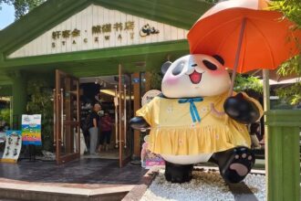 Panda Bookstore a Chengdu: nasce il nuovo punto ristoro “di guarigione” dentro la base dei panda giganti