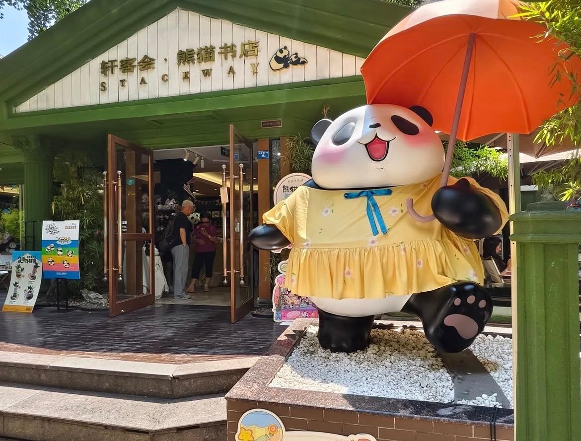 Panda Bookstore a Chengdu: nasce il nuovo punto ristoro “di guarigione” dentro la base dei panda giganti