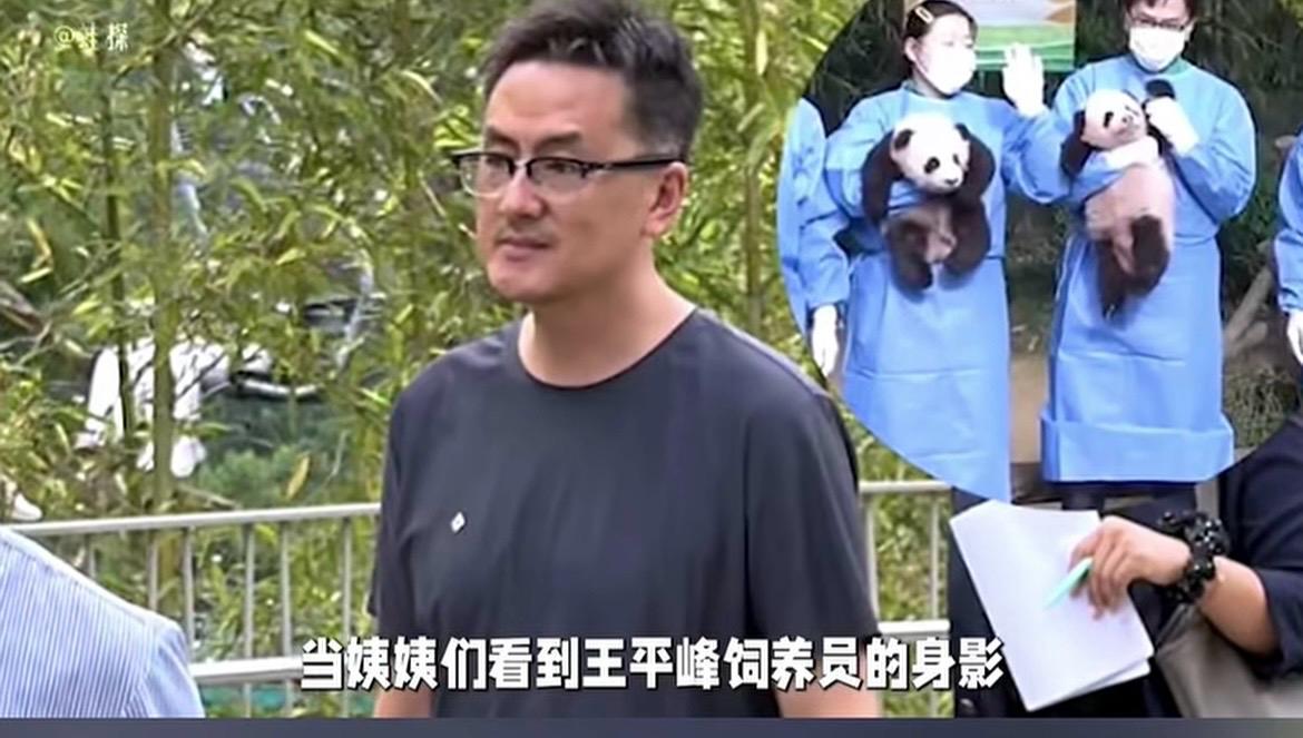 Aggiornamento condizioni di salute di Ai Bao e l'arrivo di Wang Pingfeng: è incinta?