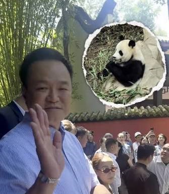 Anutin Charnvirakul incontra i panda giganti a Chengdu: la visita che unisce diplomazia, cultura e conservazione