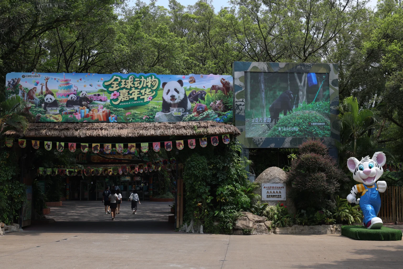 Panda gigante nel recinto del parco safari di Chimelong