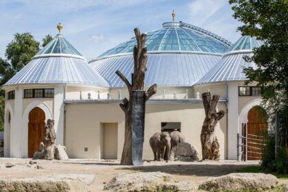 Zoo Hellabrunn, nuovi prezzi dei biglietti dal 2026